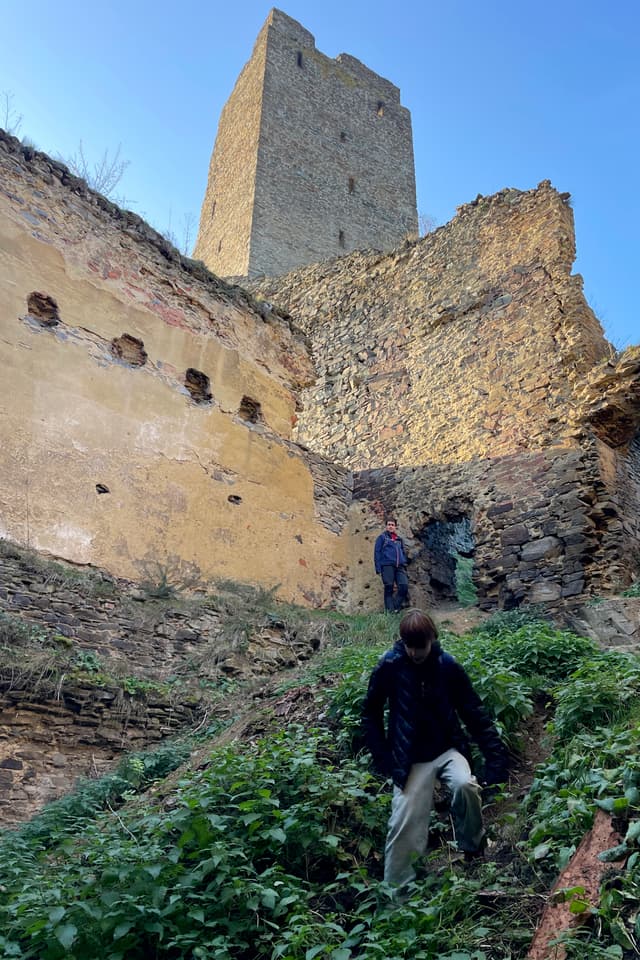 Gallery Image 14